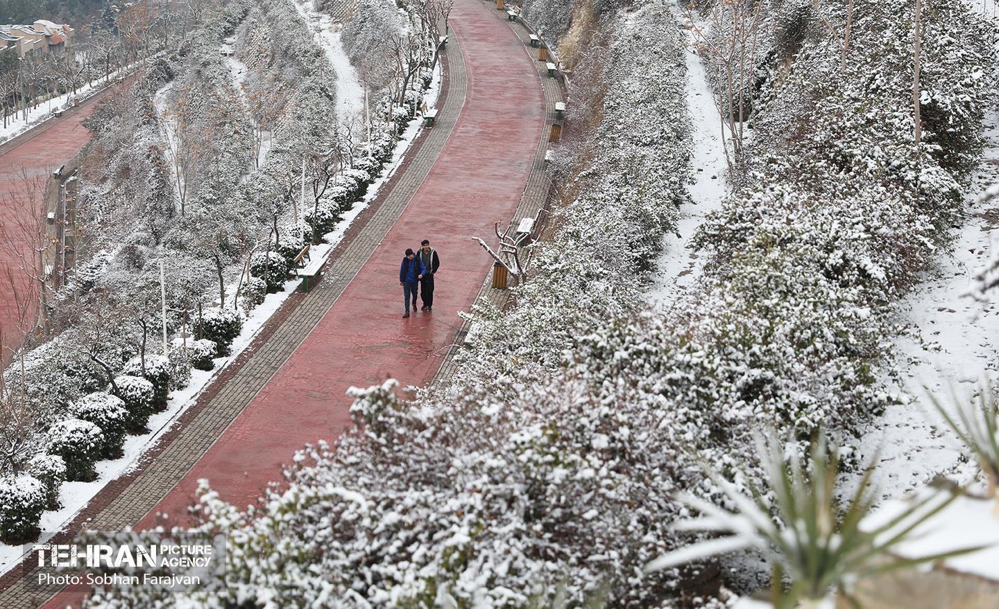 تهران برفی 5